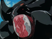 Kamonohashi no Fansub, Vago-Fansubs: Blue Gender